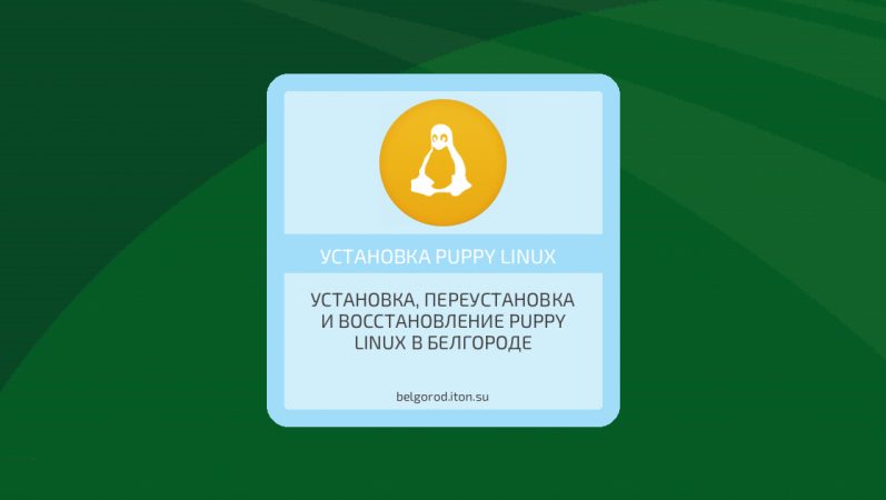 Установка, переустановка и восстановление Puppy Linux в Белгороде